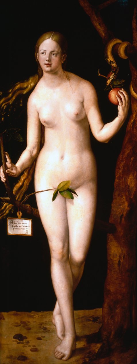 Eva da Albrecht Dürer