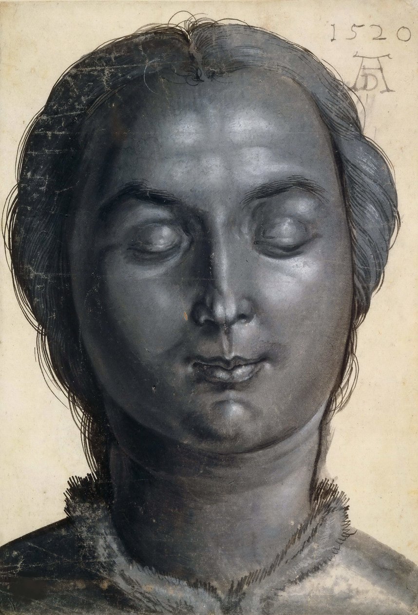 Testa di una donna, 1520 da Albrecht Dürer