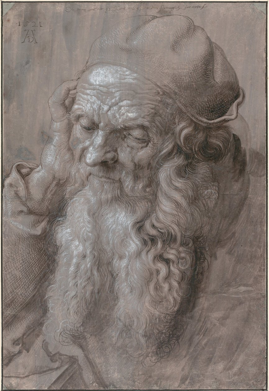 Testa di un vecchio, 1521 da Albrecht Dürer