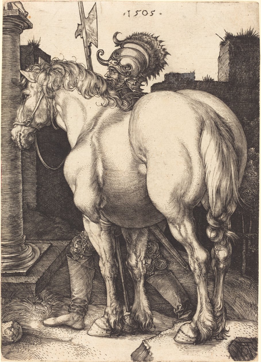 Grande Cavallo da Albrecht Dürer