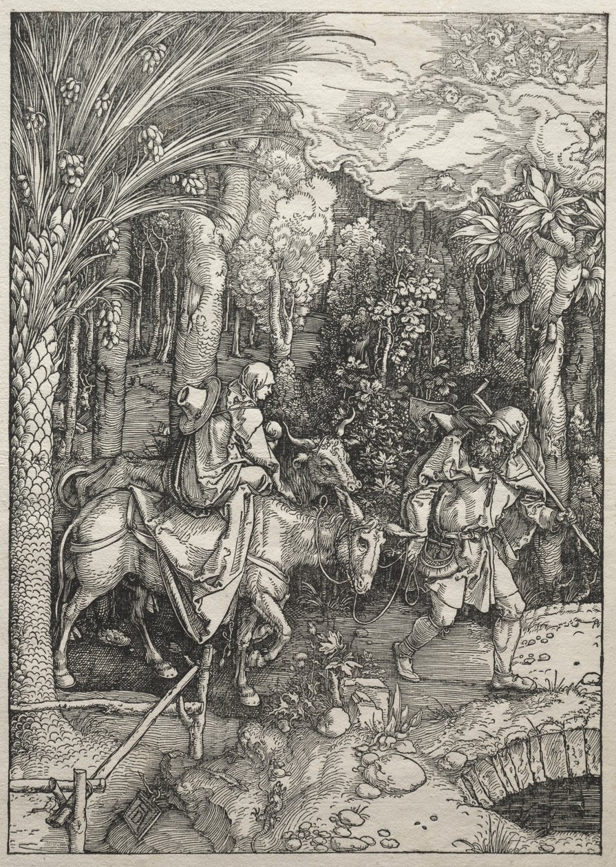 Vita della Vergine: Fuga in Egitto da Albrecht Dürer