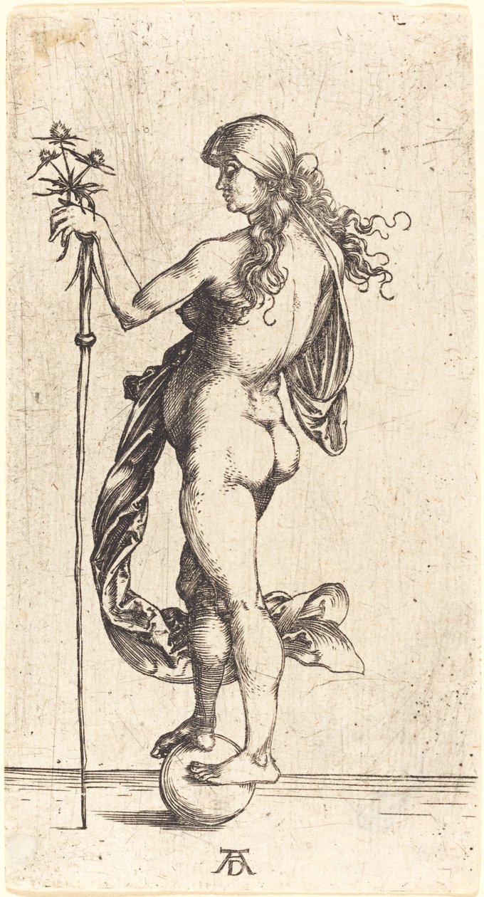 Piccola fortuna da Albrecht Dürer