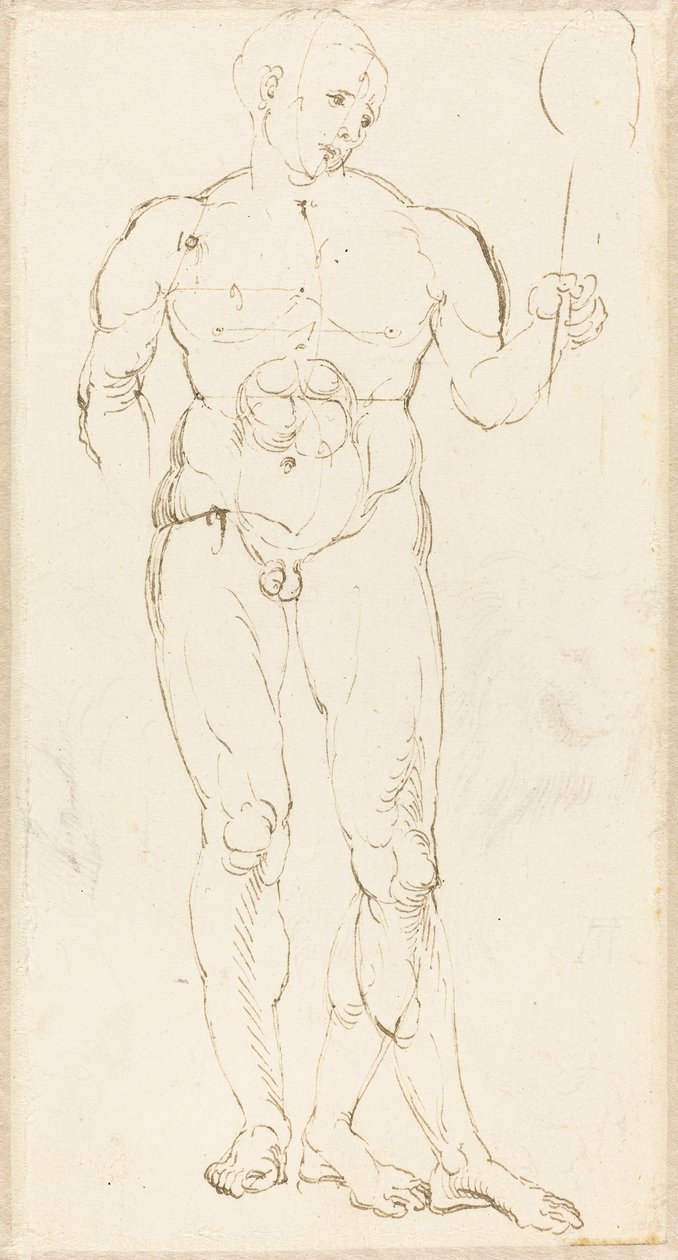 Nudo maschile che tiene uno specchio [recto] da Albrecht Dürer
