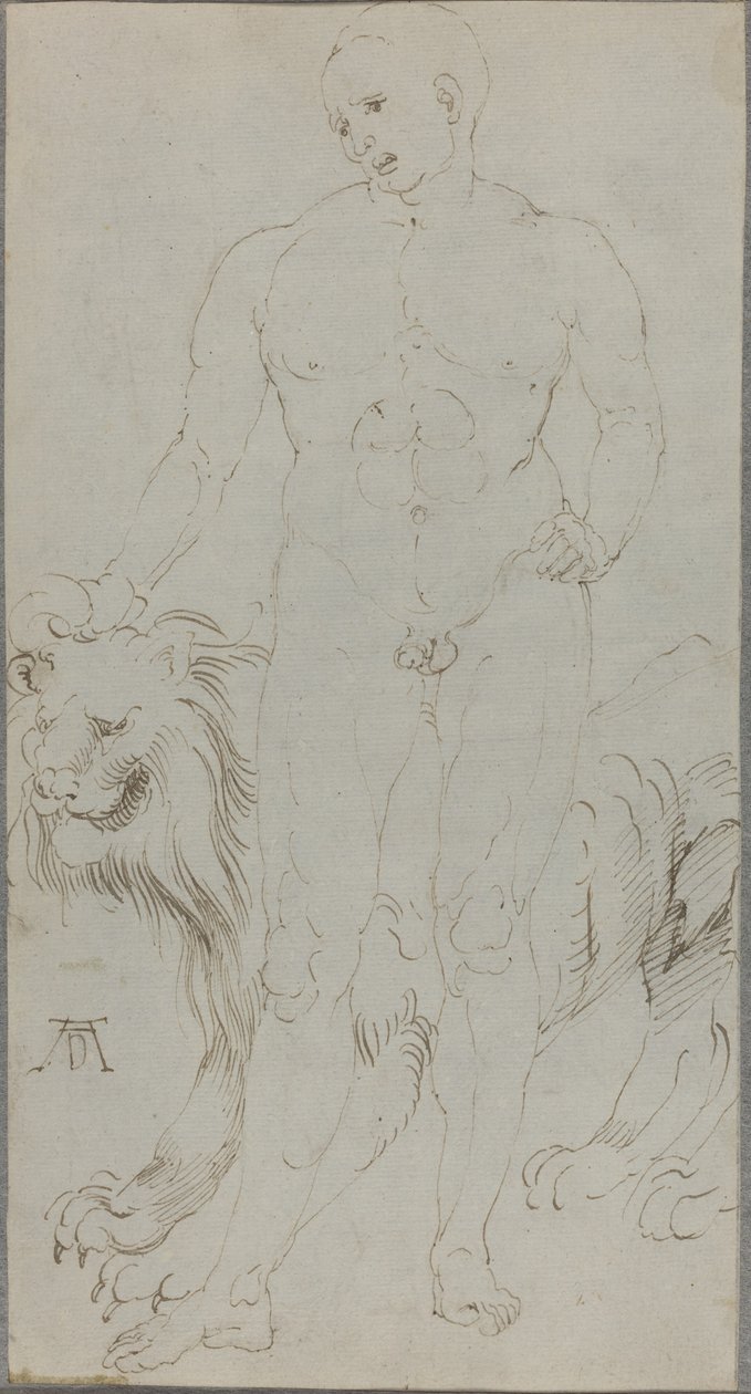 Nudo maschile con un leone [verso] da Albrecht Dürer