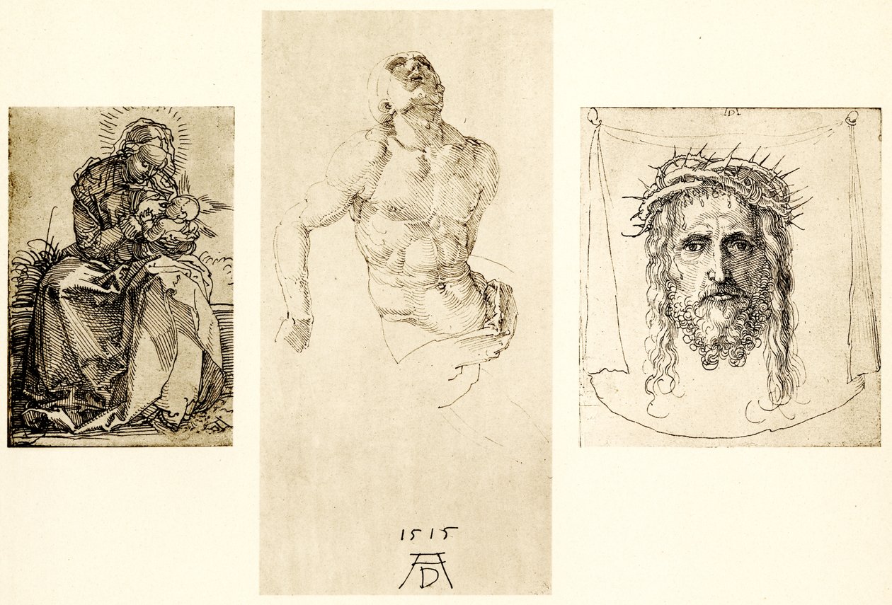Maria sulla riva erbosa da Albrecht Dürer
