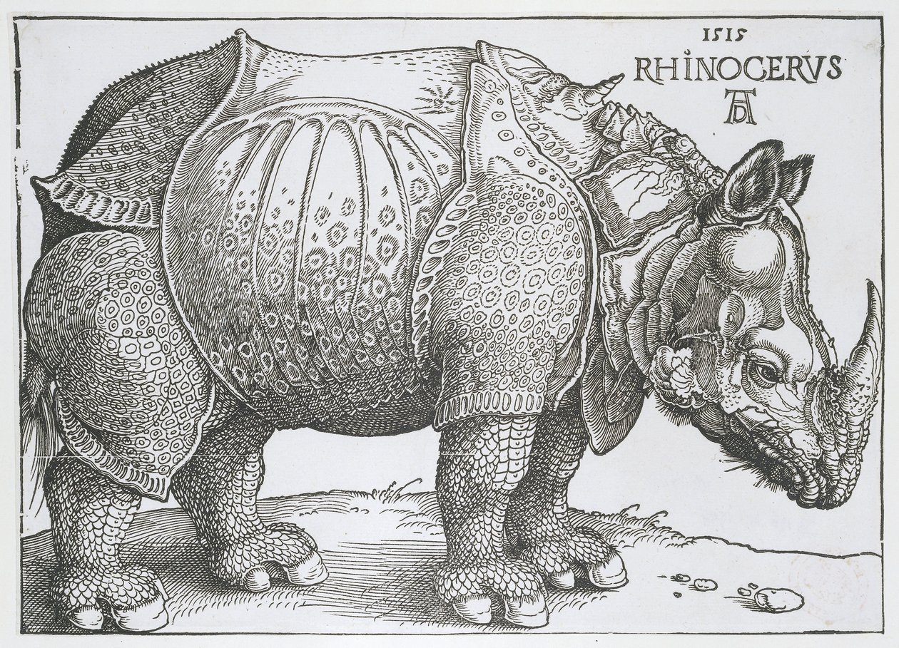 Rinoceronte (Rhinocerus) da Albrecht Dürer