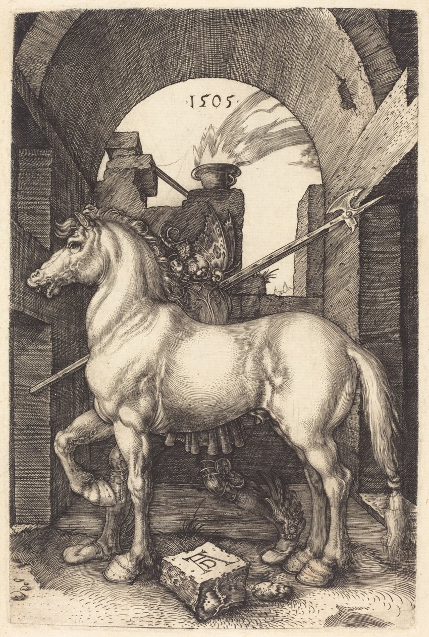 Cavallo piccolo da Albrecht Dürer