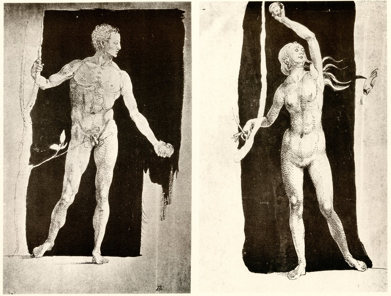 Studi su Adamo ed Eva da Albrecht Dürer