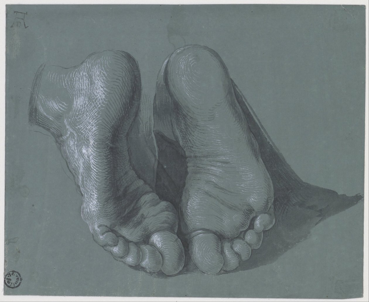 Studio di due piedi da Albrecht Dürer