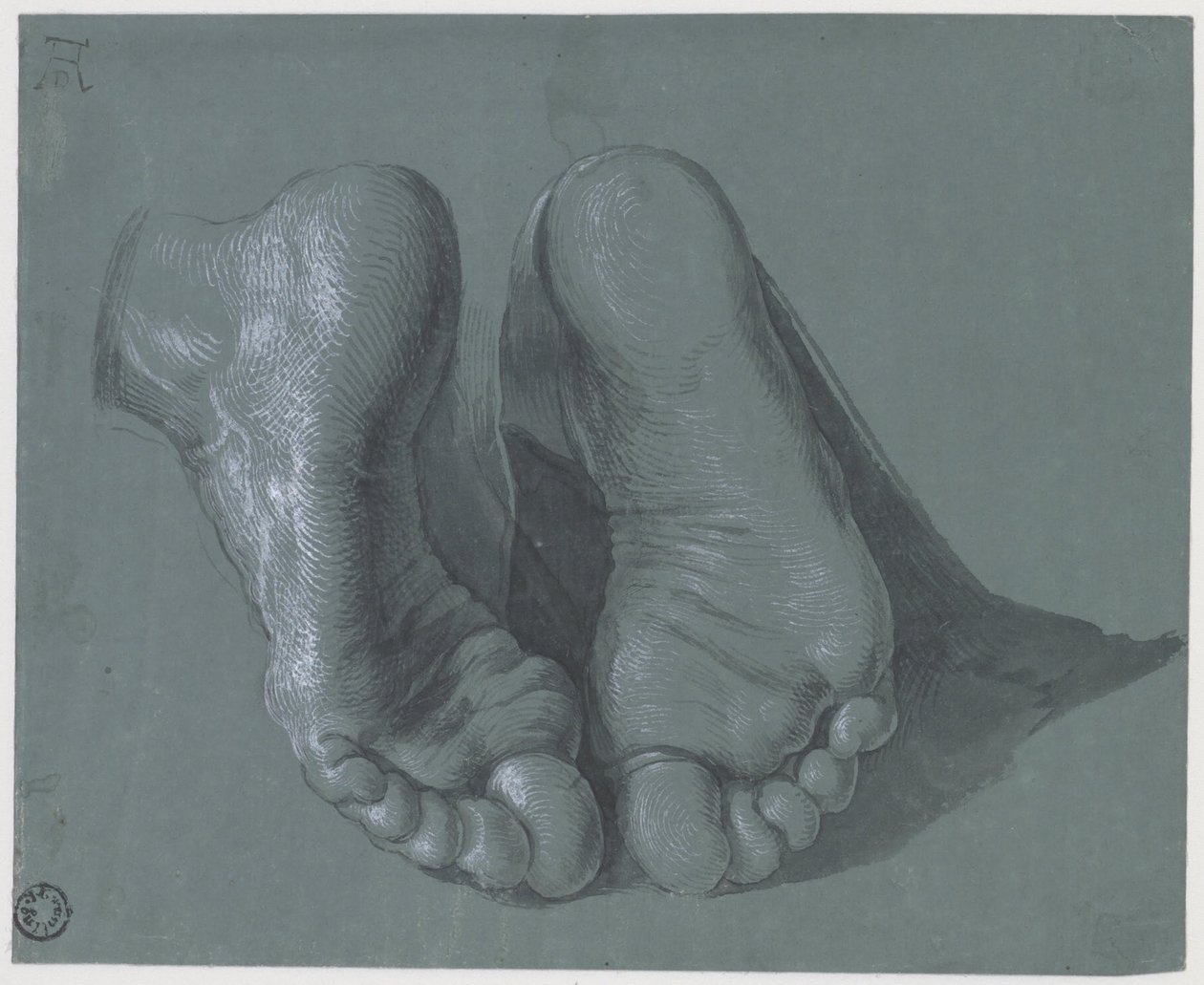 Studio di due piedi da Albrecht Dürer
