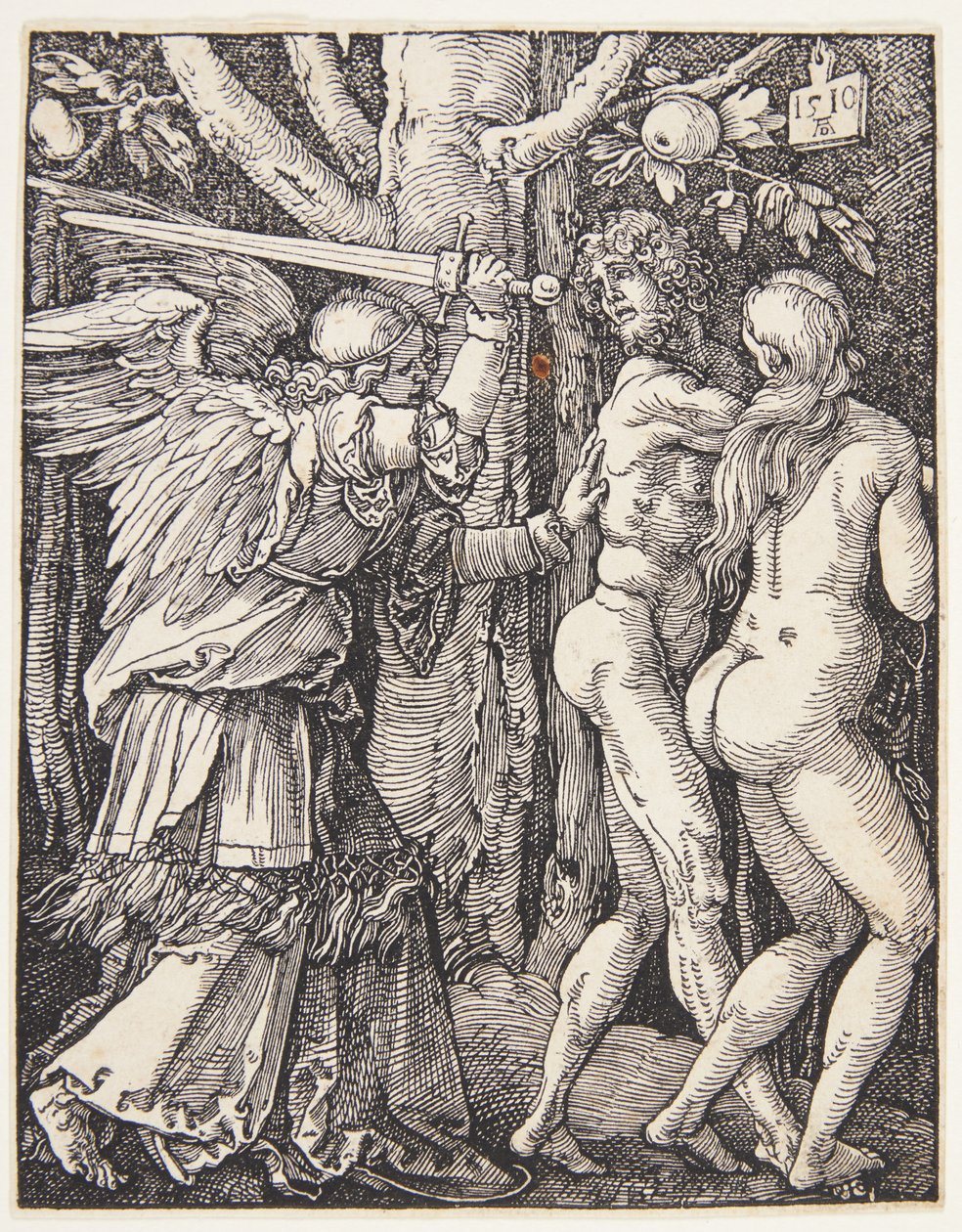 La cacciata dal Paradiso da Albrecht Dürer