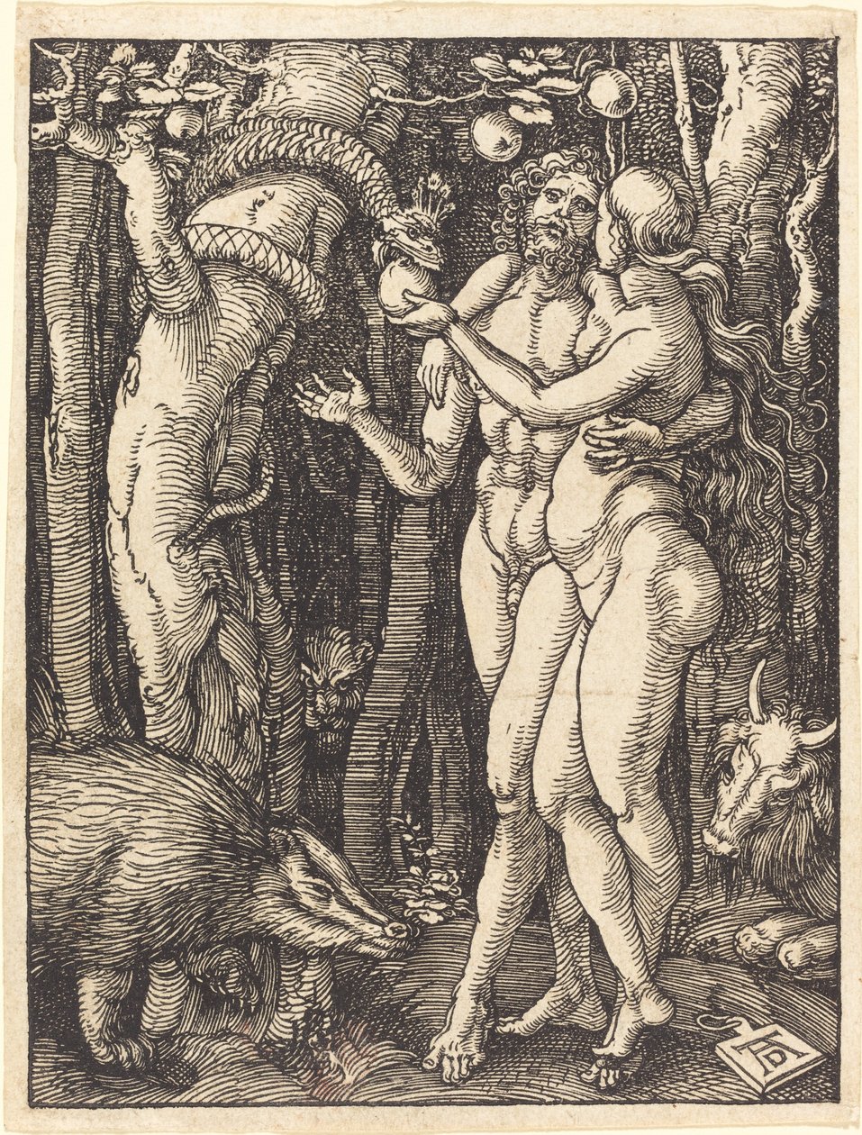 La caduta dell