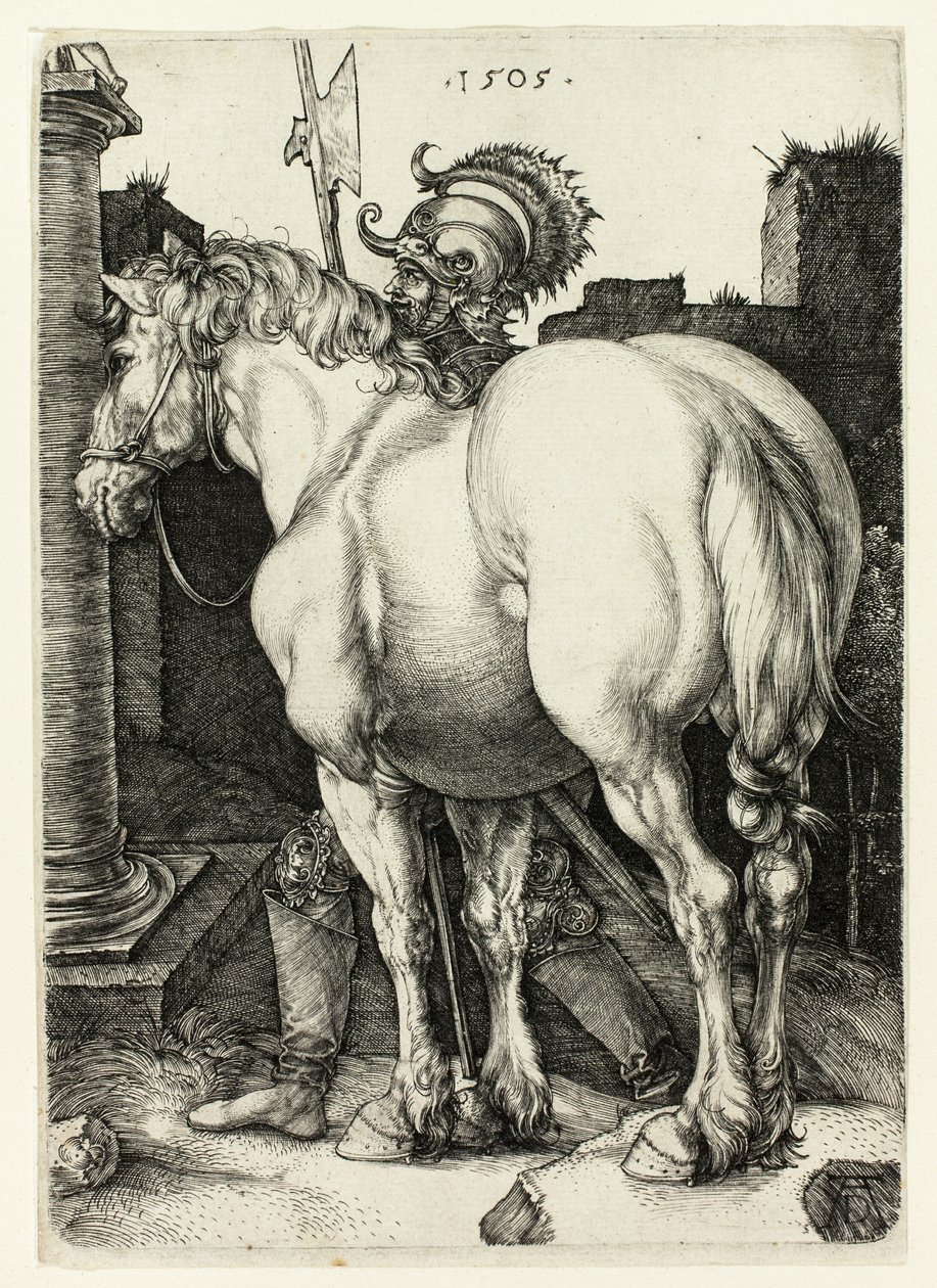 Il grande cavallo da Albrecht Dürer