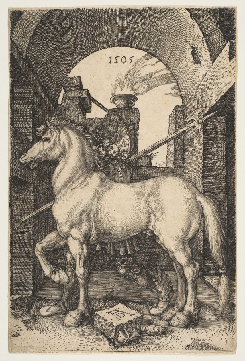 Il Cavallino da Albrecht Dürer