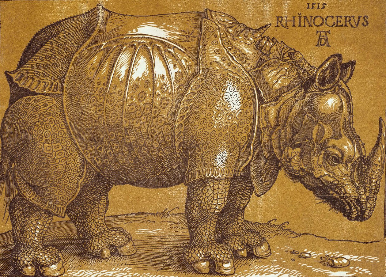 Il rinoceronte da Albrecht Dürer