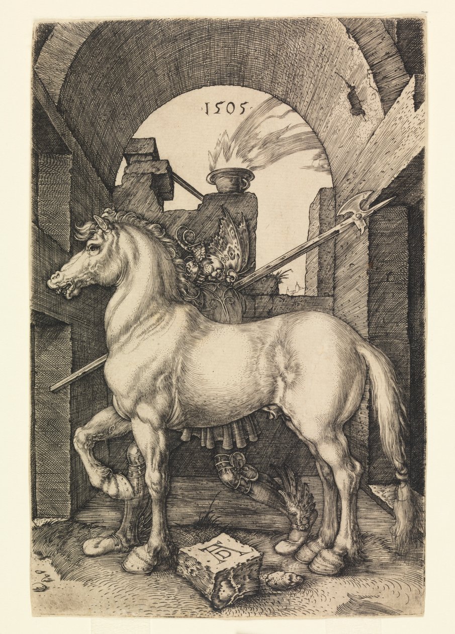 Il piccolo cavallo da Albrecht Dürer