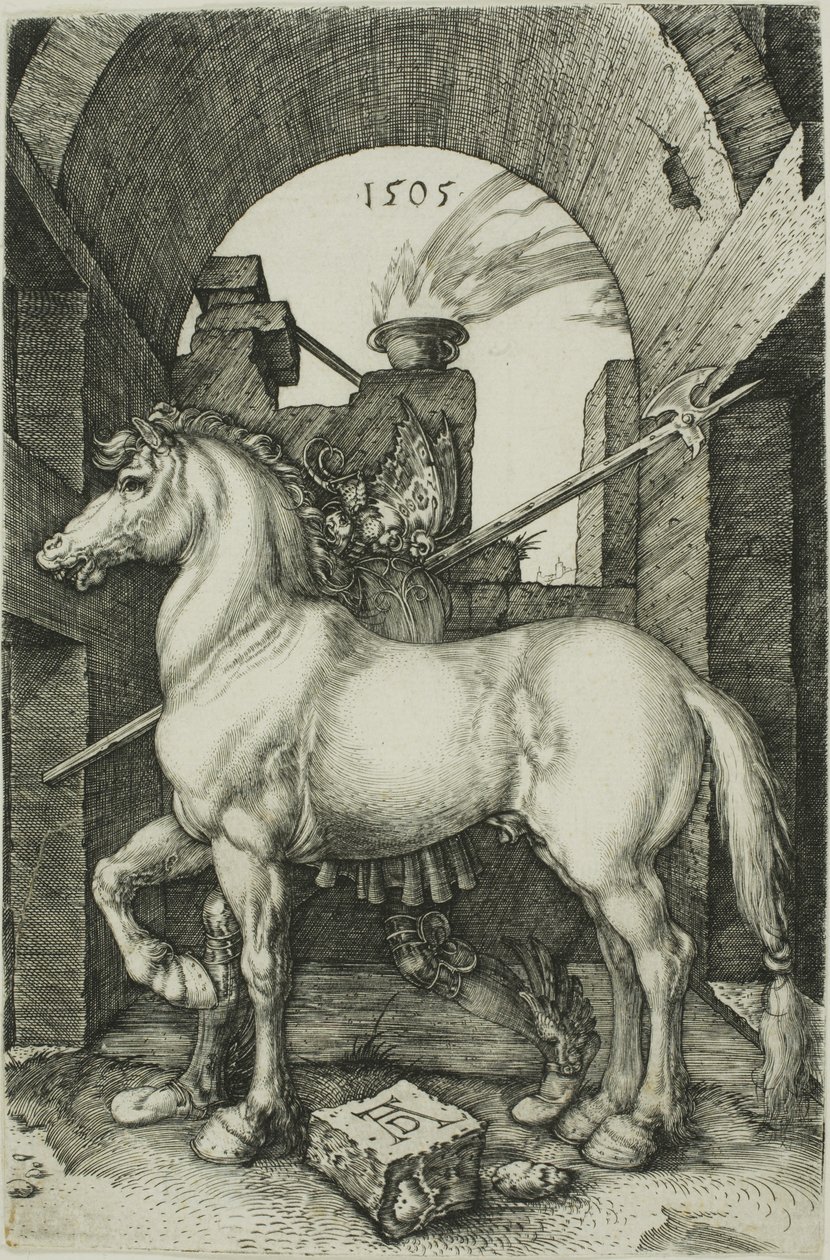 Il piccolo cavallo da Albrecht Dürer