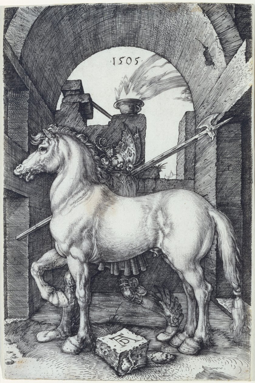 Il piccolo cavallo, 1505 da Albrecht Dürer