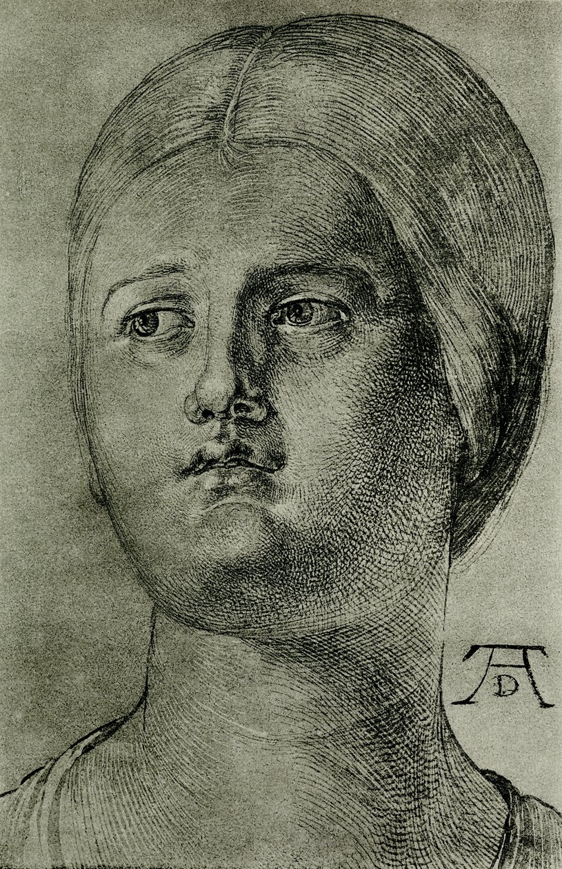 Testa di donna veneziana da Albrecht Dürer
