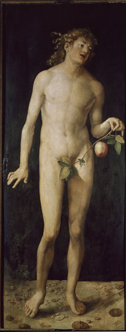 Adamo da Albrecht Dürer