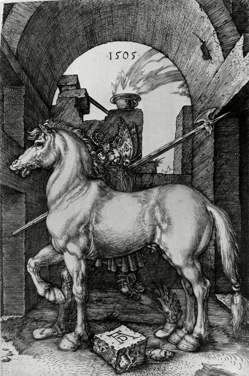 Il piccolo cavallo da Albrecht Dürer