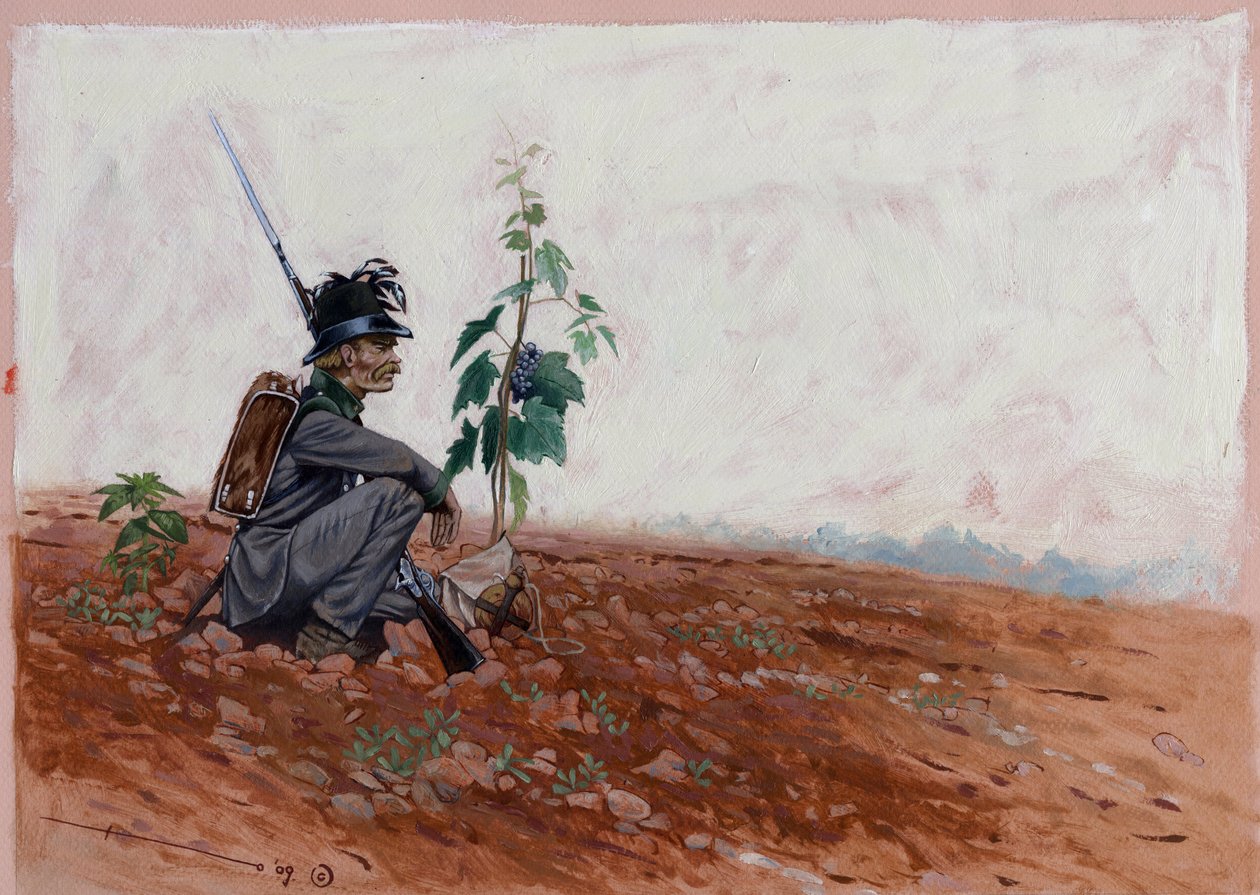 Cacciatore austriaco, seduto vicino a un vigneto da Alessandro Lonati
