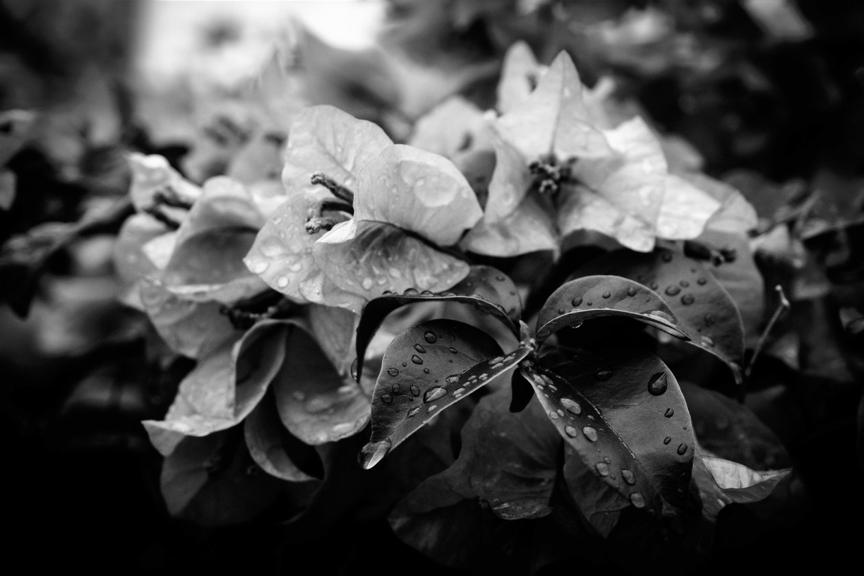 Cluster, 2019 da Alex Caminker