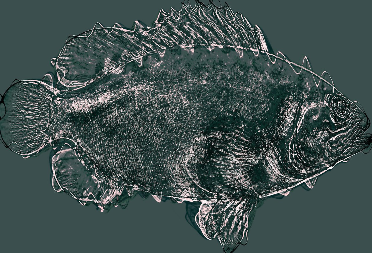 Pesce in verde da Alex Caminker