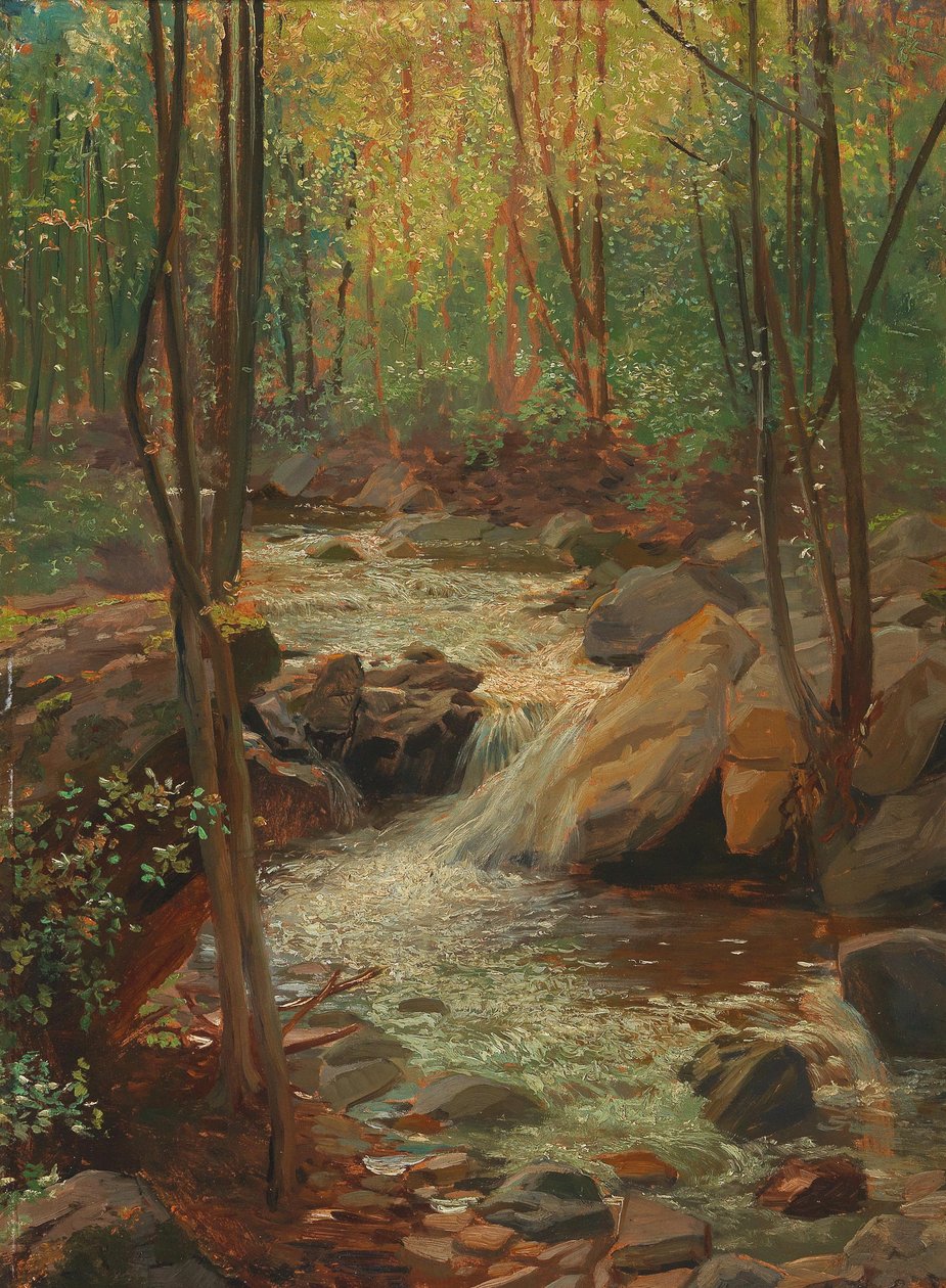 Ruscello nel bosco da Alexander Demetrius Goltz