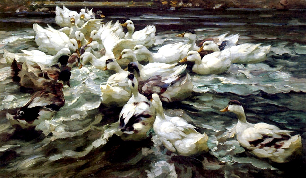 Raccolta di anatre da Alexander Koester