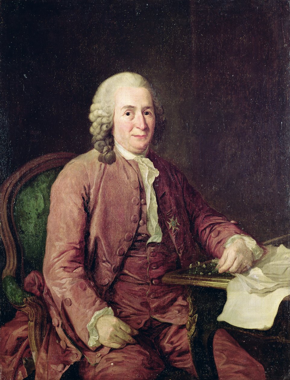 Ritratto di Carl von Linnaeus (1707-78) da Alexander Roslin