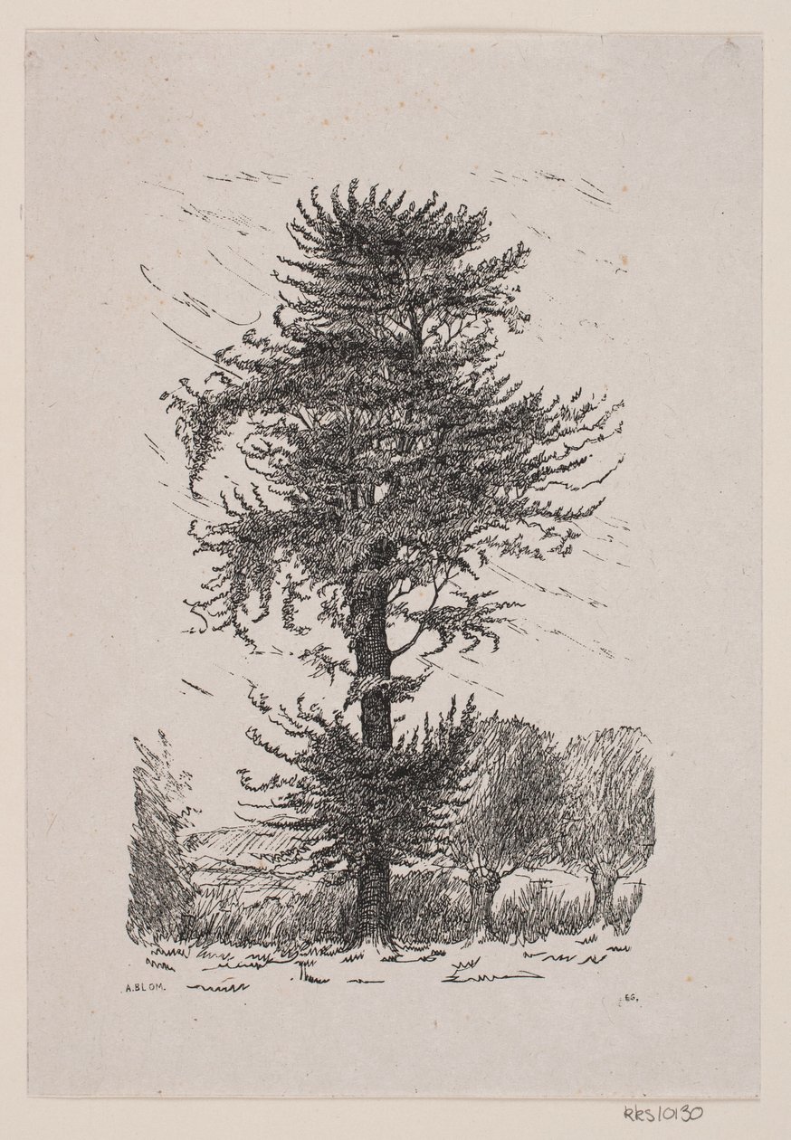 Quercia presso Guldberg da Alexander Blom
