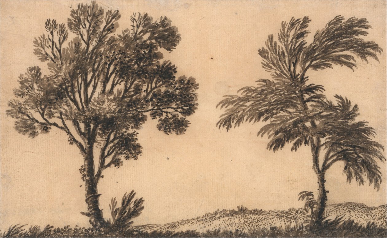 Studio di due salici da Alexander Cozens