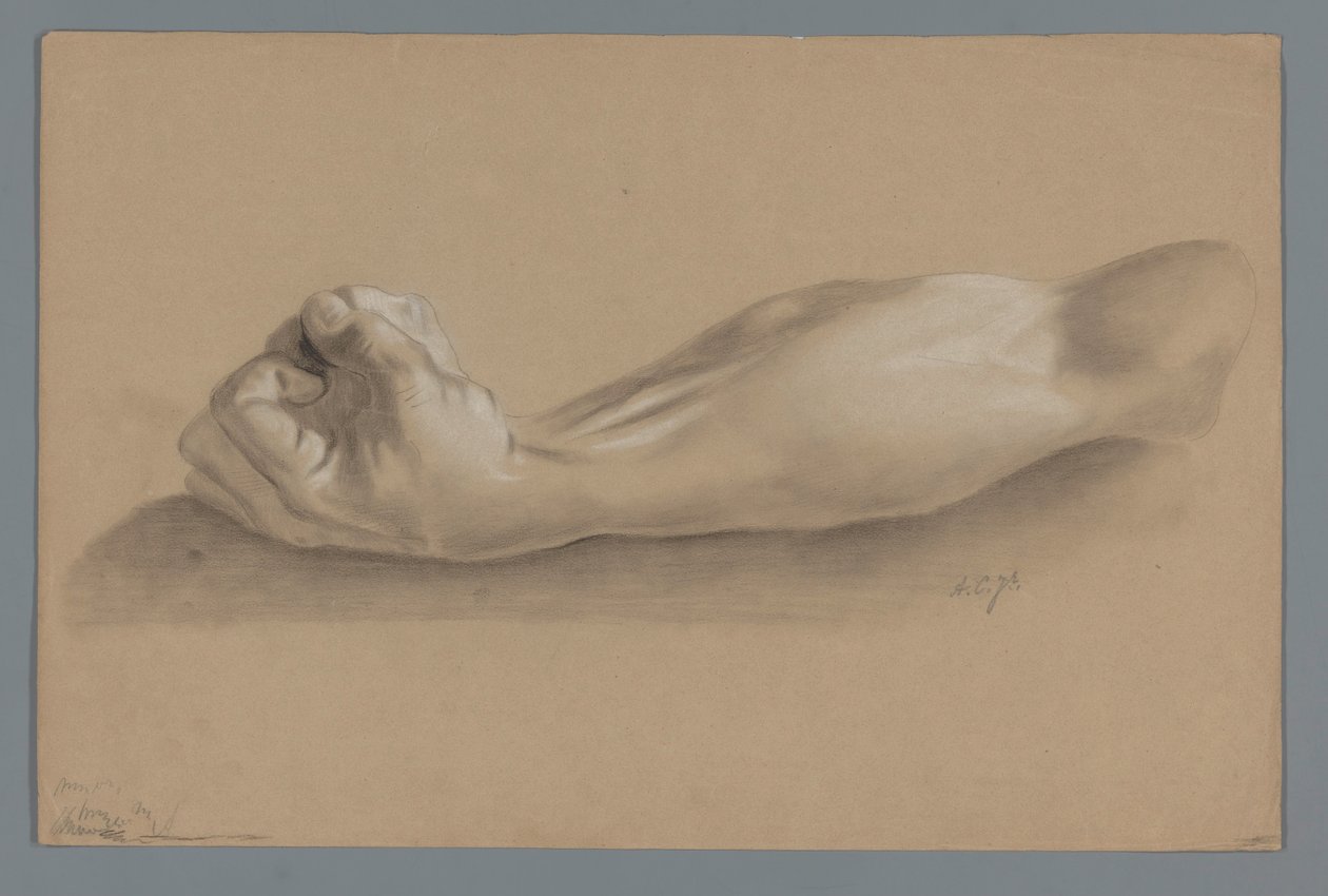 Modello in gesso di un braccio con pugno chiuso da Alexander Cranendoncq