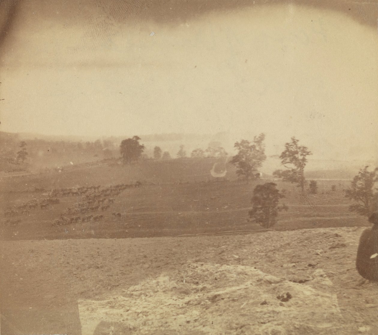[Campo di battaglia di Antietam], 1862 da Alexander Gardner