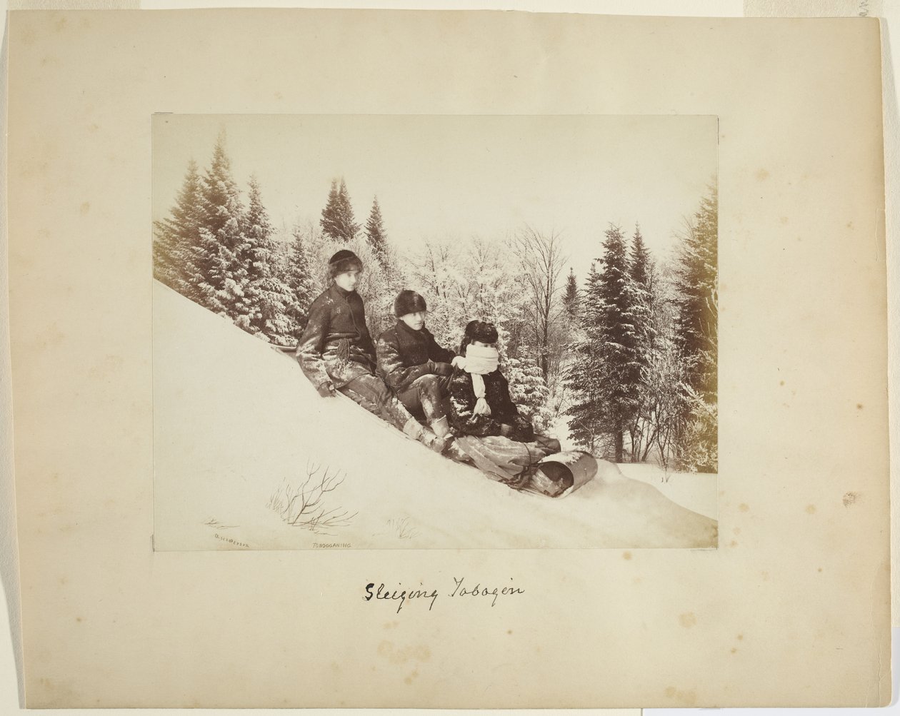 Slittino, c.1873 da Alexander Henderson