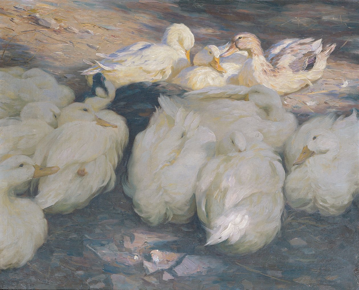 Al tramonto da Alexander Koester