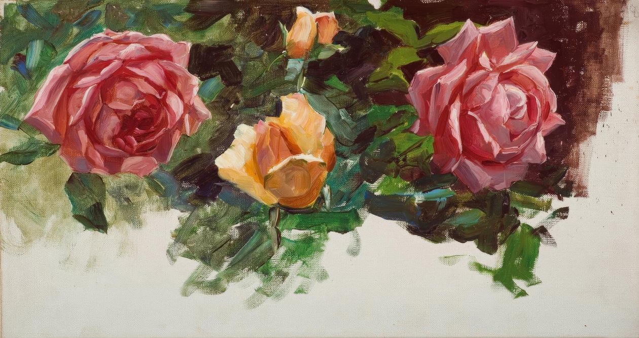 A. Koester, studio di rose da Alexander Köster