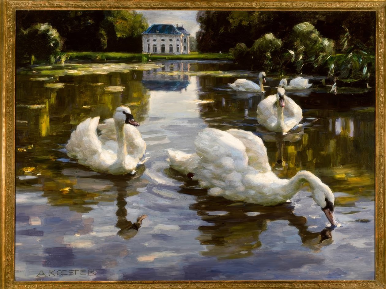 Cigni a Nymphenburg da Alexander Köster