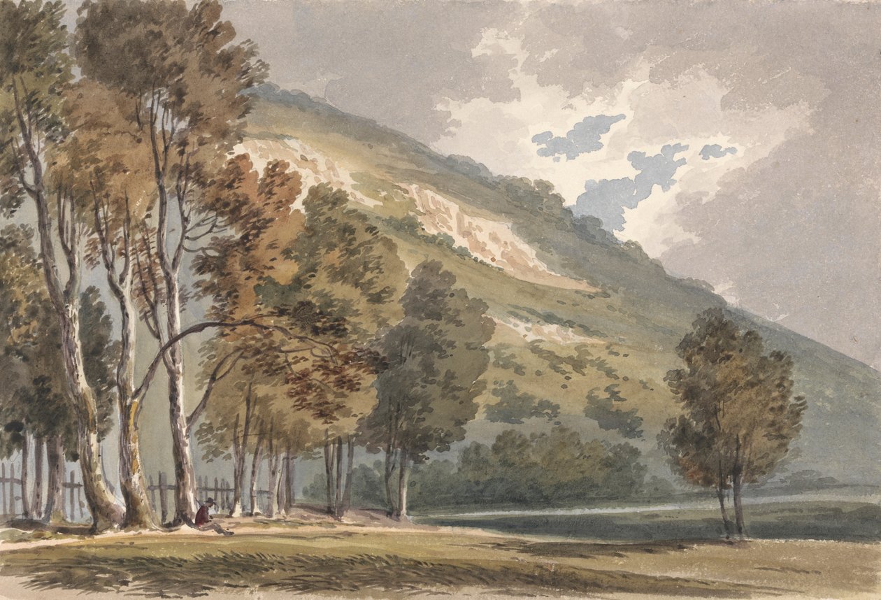 Paesaggio a Boxhill, Surrey da Alexander Monro