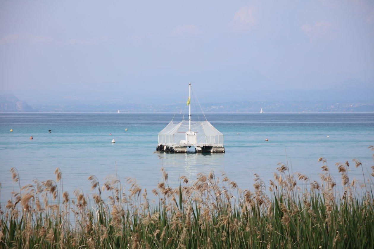 Tranquillità sul lago da Alexandra Joseph