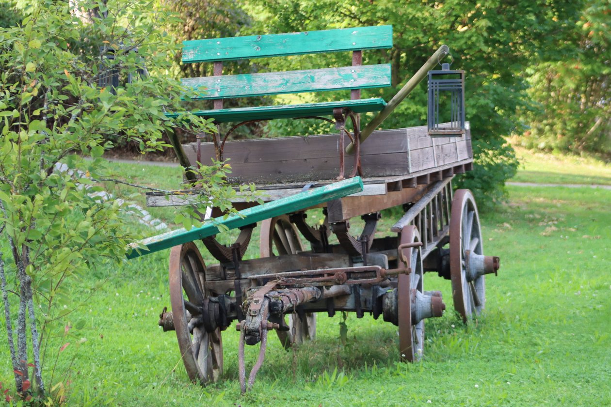Vecchia carrozza nel parco da Alexandra Joseph