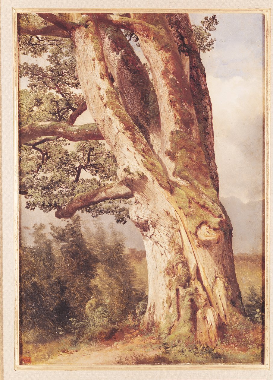 La quercia da Alexandre Calame