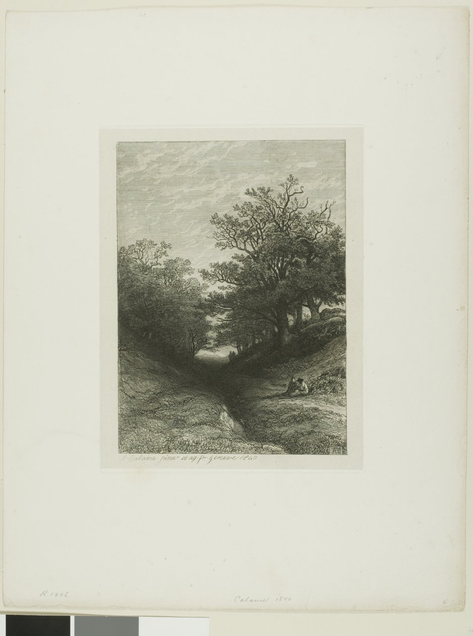 Paesaggio alpino da Alexandre Calame