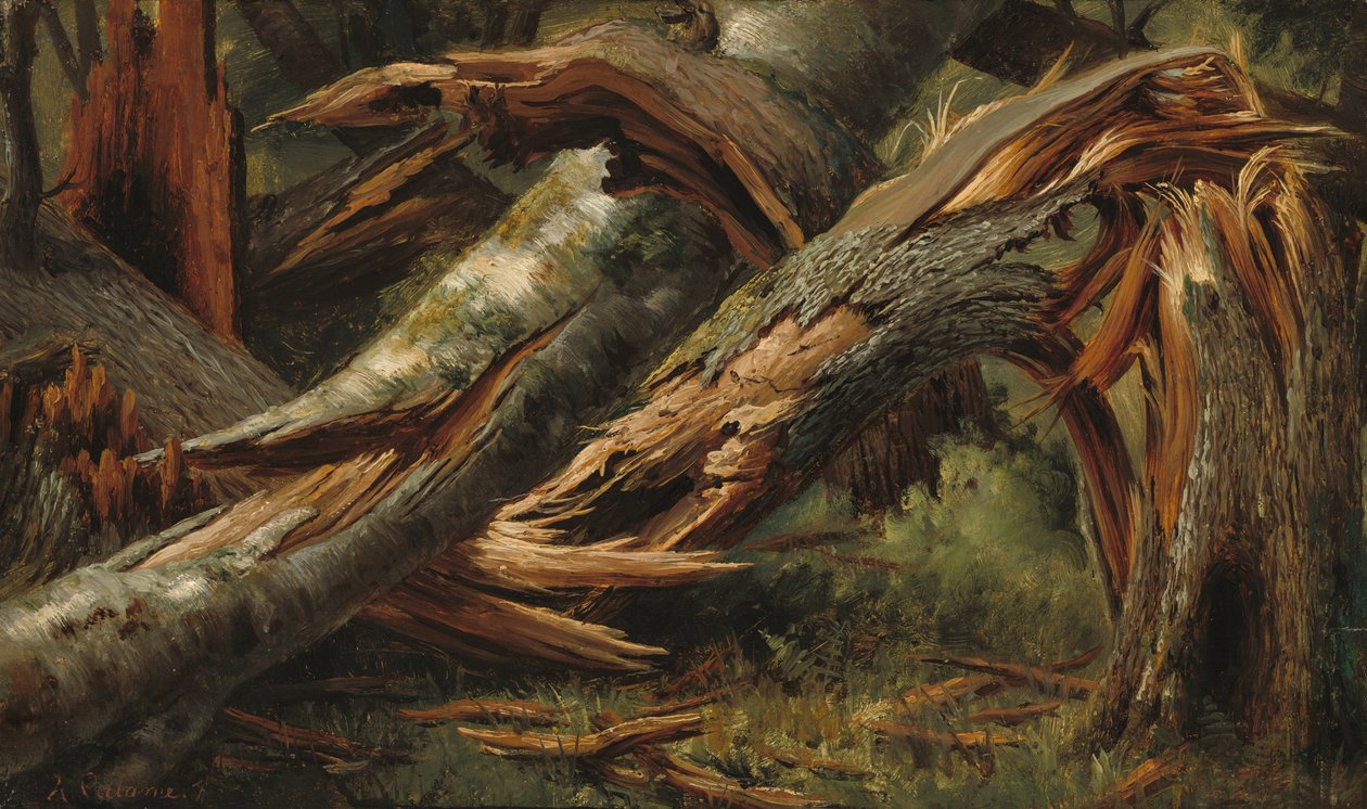 Albero caduto da Alexandre Calame