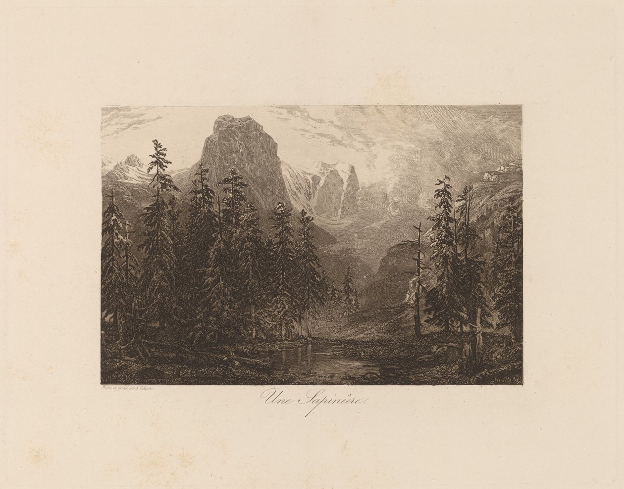 Una Pineta da Alexandre Calame