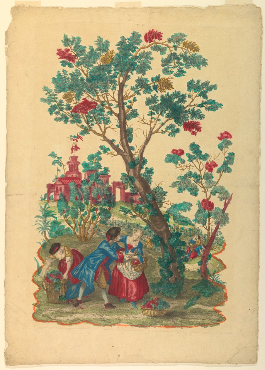 Raccolta dell