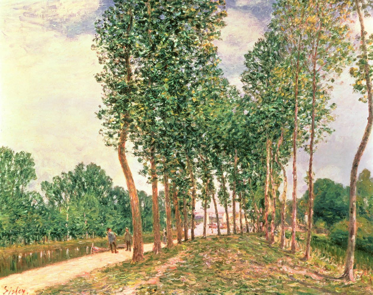 Sponde del Loing, vicino a Moret da Alfred Sisley
