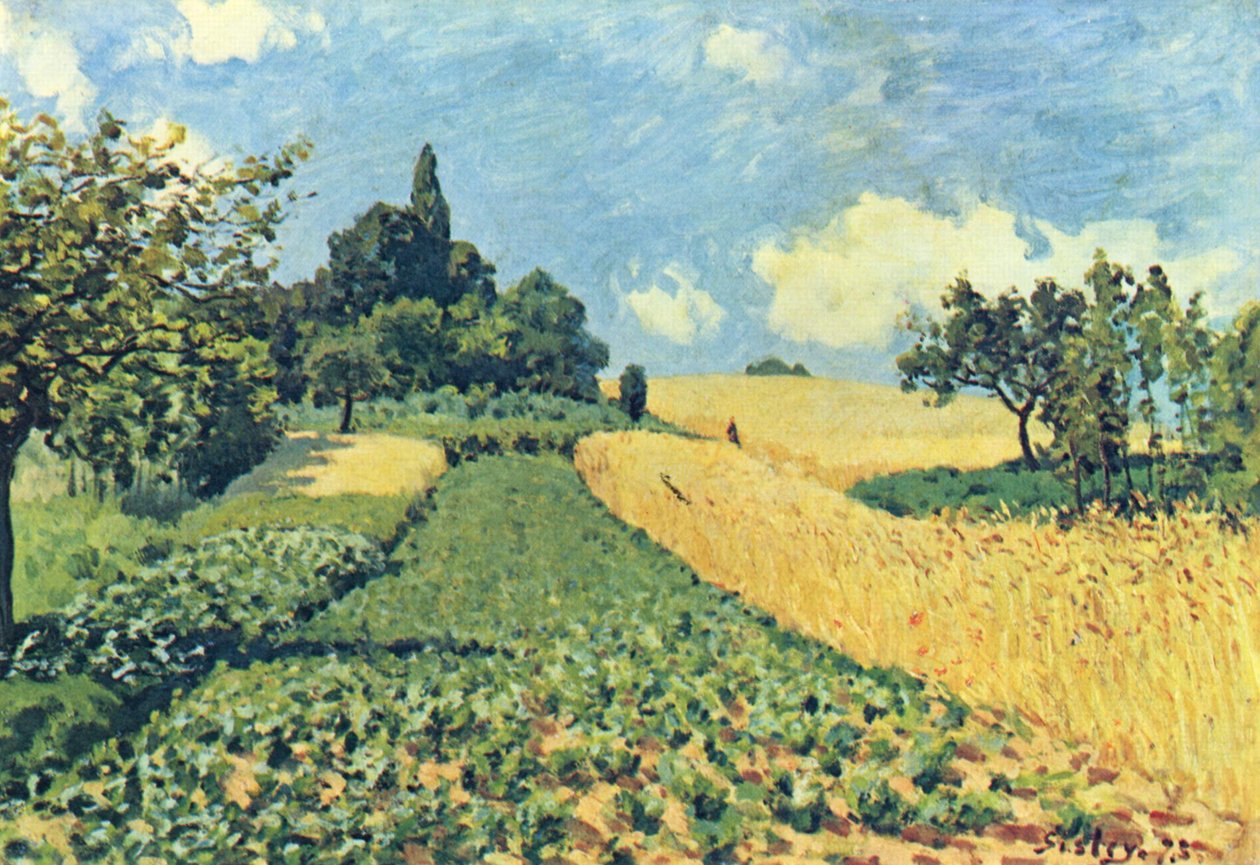 Campi di grano sulle colline di Argenteuil da Alfred Sisley