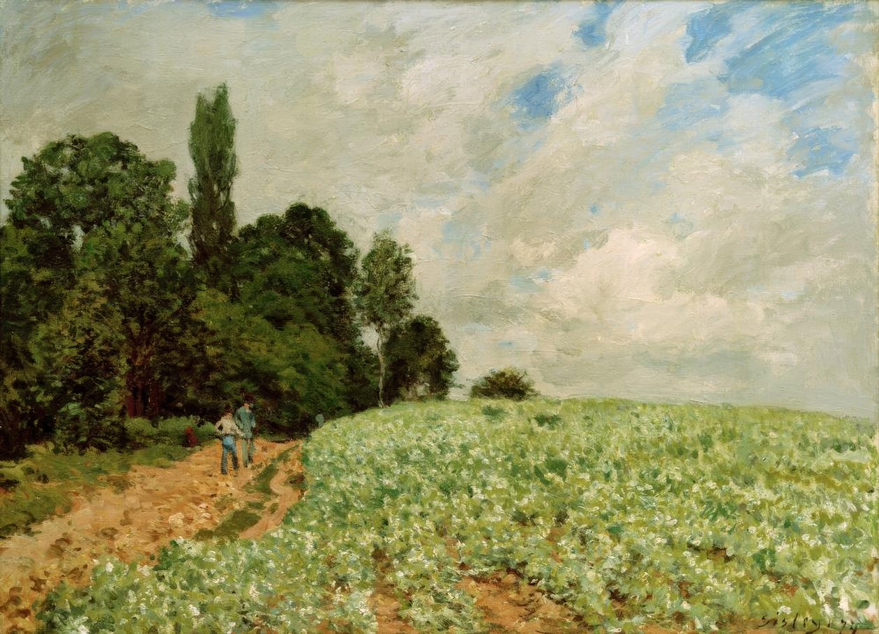 Il campo di trifoglio da Alfred Sisley